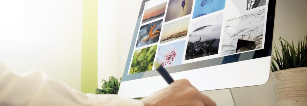 Portafolio De Diseño Web