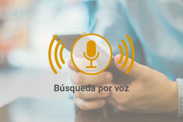 Seo Y Búsqueda Por Voz